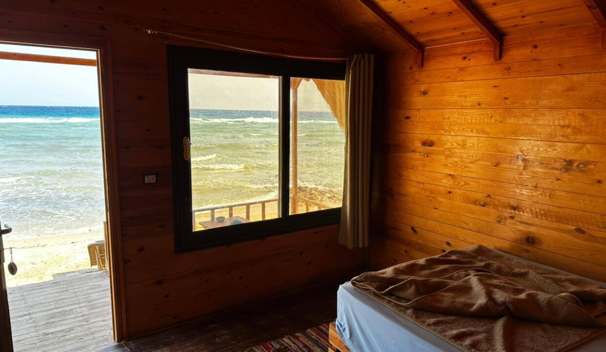 492474521_1198575805283273_4764883622675841066_n